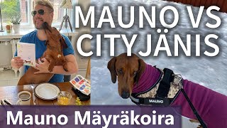Thumbnail for podcast episode: Mauno Mäyräkoira vs Cityjänis Hyvää Uutta Vuotta 2022!???‍? #neuvottelija